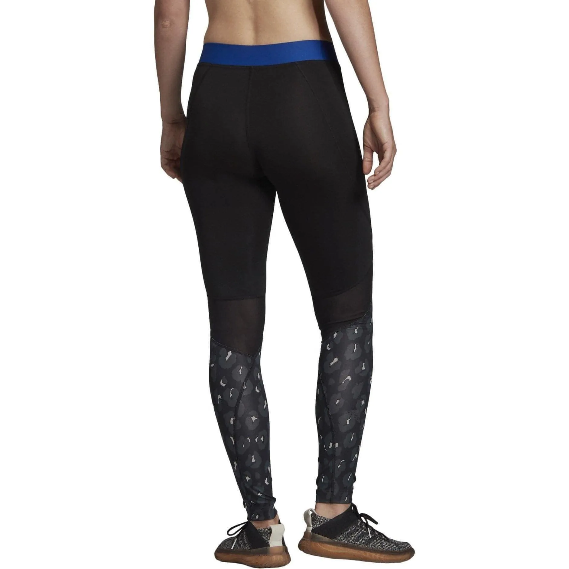 adidas AlphaSkin Iteration Womens Long Training Tights - Black