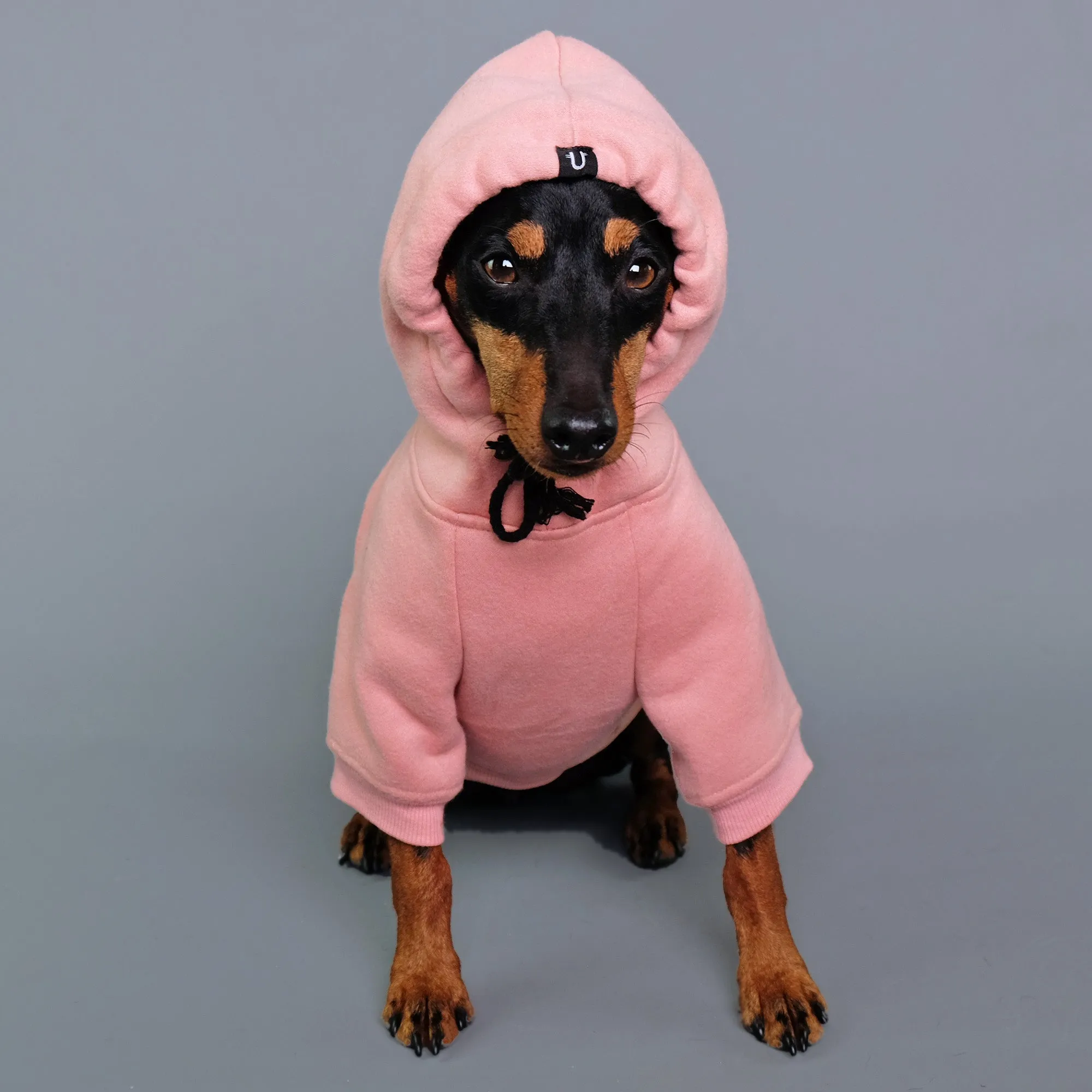 Dusty Pink  Dog Hoodie