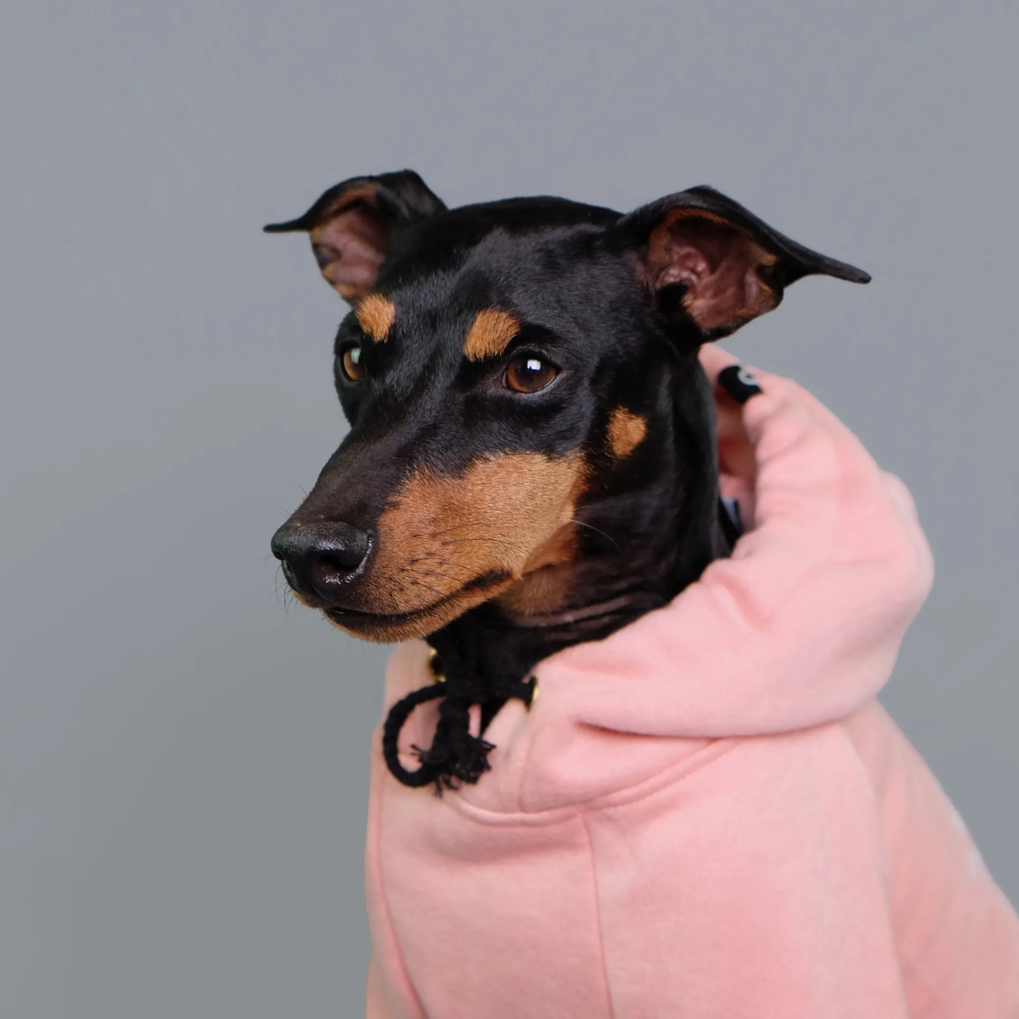 Dusty Pink  Dog Hoodie